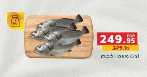 available at بنده in Egypt - القاهرة