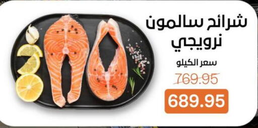 available at بيت الجملة in Egypt - القاهرة