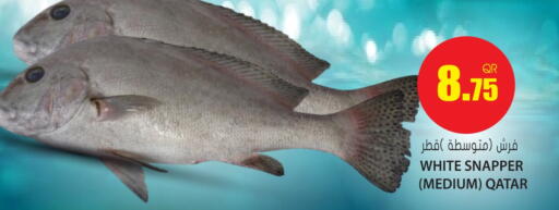 available at جراند هايبرماركت in قطر - أم صلال