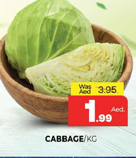 Cabbage available at Al Madina  in UAE - Sharjah / Ajman