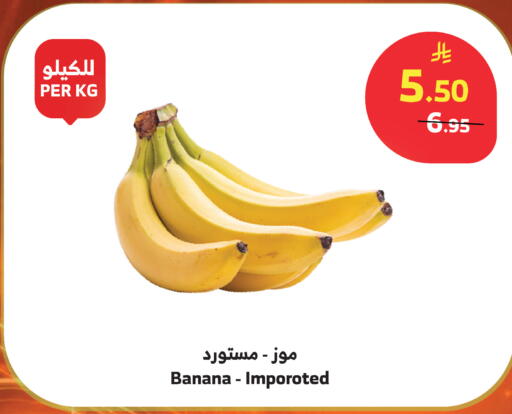 Banana available at Al Raya in KSA, Saudi Arabia, Saudi - Mecca