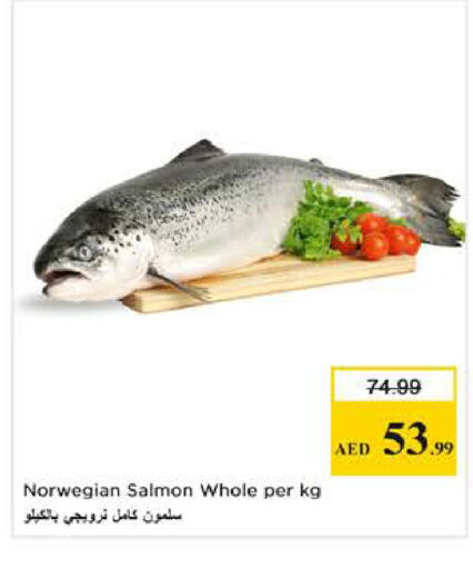 available at نستو هايبرماركت in الإمارات العربية المتحدة , الامارات - الشارقة / عجمان