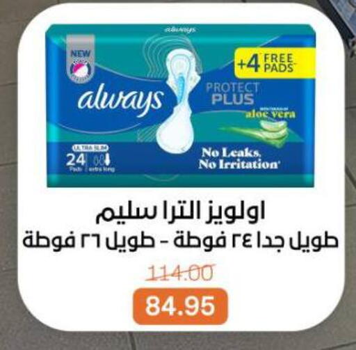 available at بيت الجملة in Egypt - القاهرة