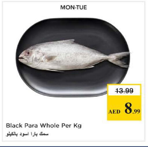 available at Nesto Hypermarket in UAE - Dubai