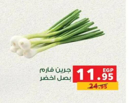 available at بنده in Egypt - القاهرة
