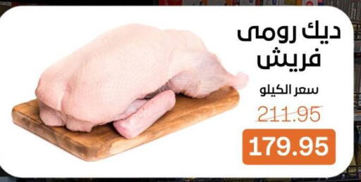 available at بيت الجملة in Egypt - القاهرة