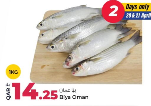 available at روابي هايبرماركت in قطر - الشحانية