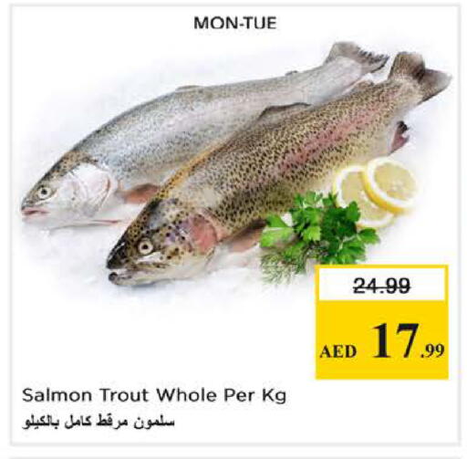 available at Nesto Hypermarket in UAE - Dubai