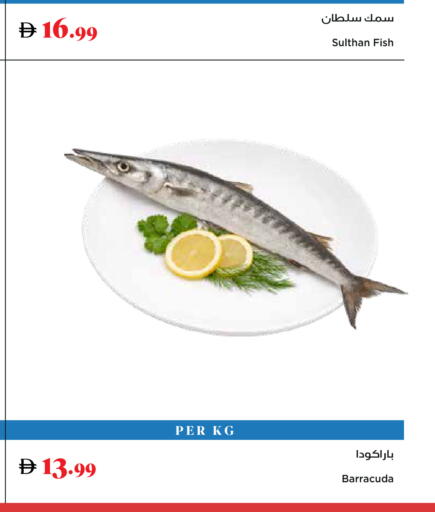 available at Trolleys Supermarket in UAE - Dubai