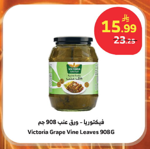 available at الراية in مملكة العربية السعودية, السعودية, سعودية - أبها