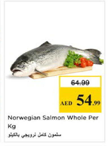 available at Nesto Hypermarket in UAE - Al Ain