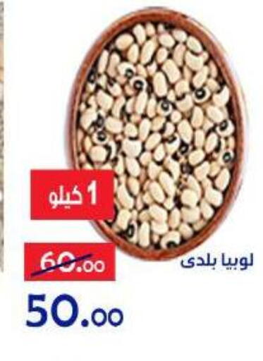 available at الدنيا بخير in Egypt - القاهرة