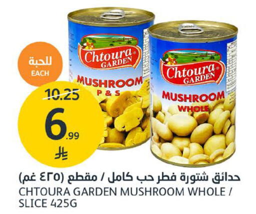 Mushroom available at مركز الجزيرة للتسوق in مملكة العربية السعودية, السعودية, سعودية - الرياض