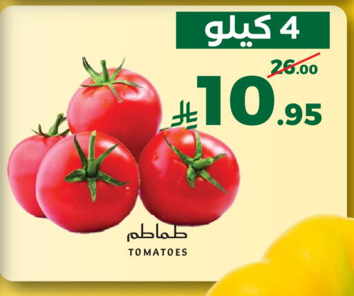 Tomato available at ميرا مارت مول in مملكة العربية السعودية, السعودية, سعودية - جدة