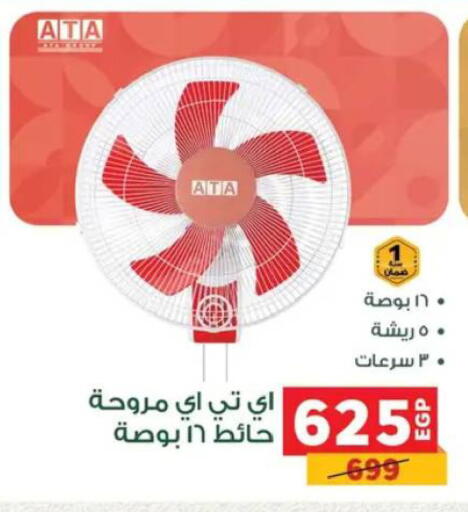 available at Panda  in Egypt - Cairo