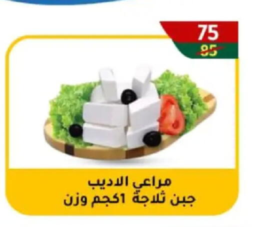 available at Wekalet Elmansoura - Dakahlia  in Egypt - Cairo