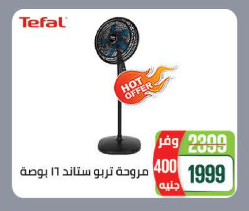 available at سعودي سوبرماركت in Egypt - القاهرة