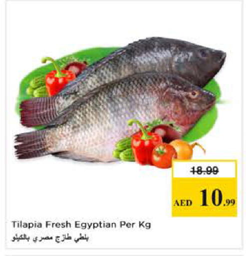 available at Nesto Hypermarket in UAE - Dubai