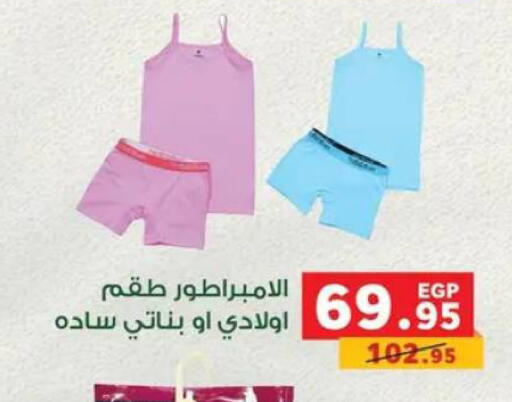 available at Panda  in Egypt - Cairo