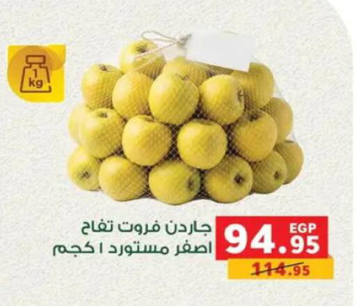 available at بنده in Egypt - القاهرة