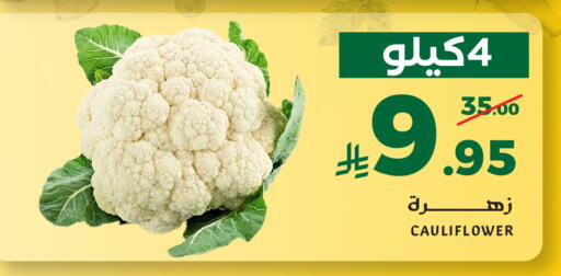 Cauliflower available at Mira Mart Mall in KSA, Saudi Arabia, Saudi - Jeddah