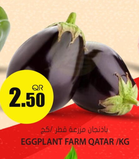 Eggplant from Qatar available at Grand Hypermarket in Qatar - Al Wakra