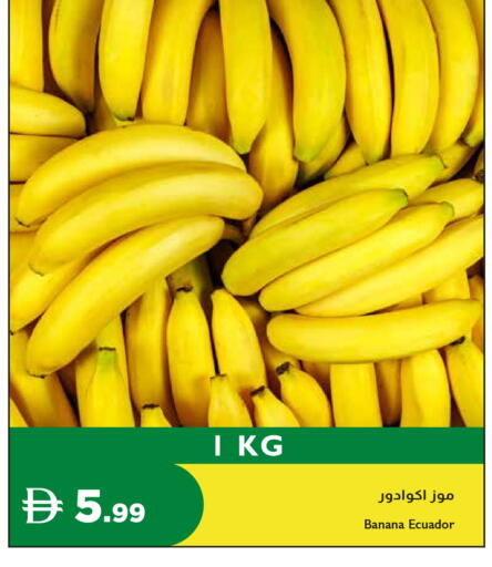 Banana from Ecuador available at إسطنبول سوبرماركت in الإمارات العربية المتحدة , الامارات - الشارقة / عجمان