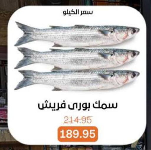 available at بيت الجملة in Egypt - القاهرة
