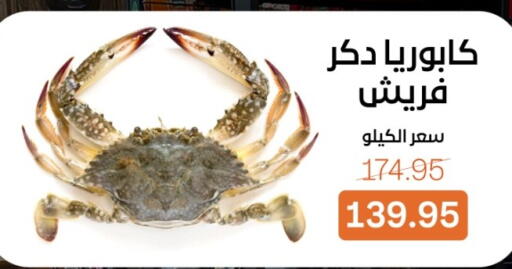 available at بيت الجملة in Egypt - القاهرة