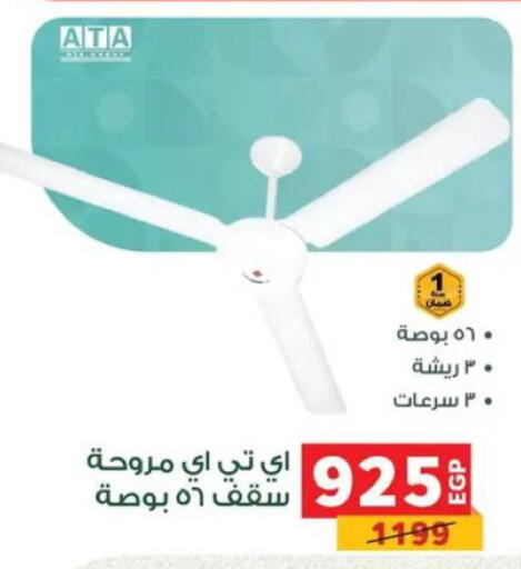 available at Panda  in Egypt - Cairo