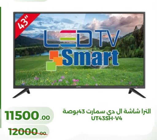 available at Green Tree Hypermarket - Sohag in Egypt - Cairo