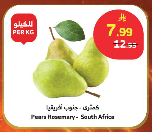 Rosemary from South Africa available at Al Raya in KSA, Saudi Arabia, Saudi - Mecca