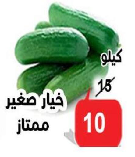 available at الدنيا بخير in Egypt - القاهرة