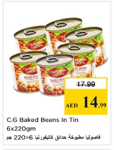 Tomato available at Nesto Hypermarket in UAE - Sharjah / Ajman