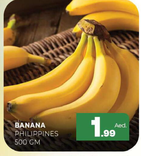 Banana from Philippines available at المدينة in الإمارات العربية المتحدة , الامارات - الشارقة / عجمان