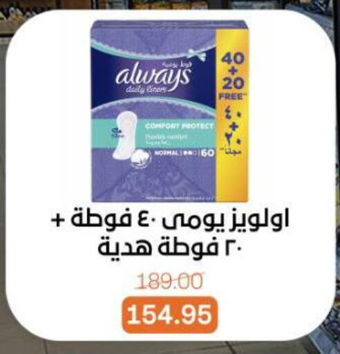 available at بيت الجملة in Egypt - القاهرة