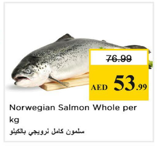 available at نستو هايبرماركت in الإمارات العربية المتحدة , الامارات - رَأْس ٱلْخَيْمَة