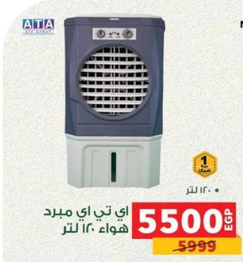 available at Panda  in Egypt - Cairo