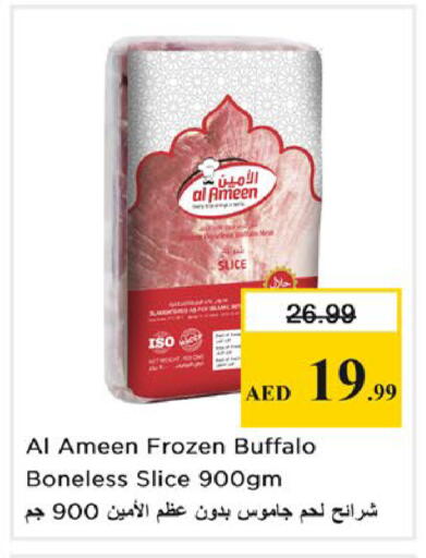 available at نستو هايبرماركت in الإمارات العربية المتحدة , الامارات - أبو ظبي