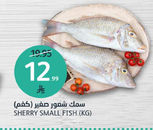 available at مركز الجزيرة للتسوق in مملكة العربية السعودية, السعودية, سعودية - الرياض