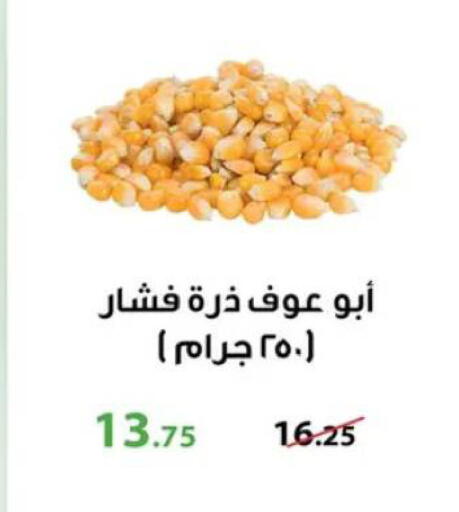 available at Panda  in Egypt - Cairo