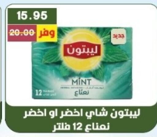Mint available at بشاير هايبرماركت in Egypt - القاهرة