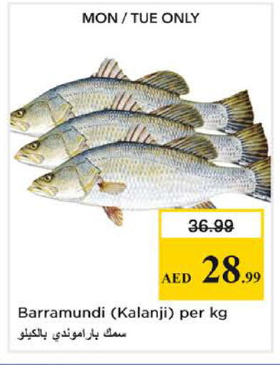 available at نستو هايبرماركت in الإمارات العربية المتحدة , الامارات - الشارقة / عجمان