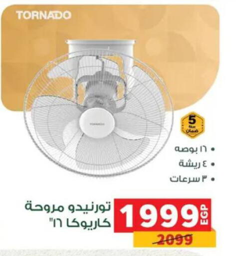 available at Panda  in Egypt - Cairo