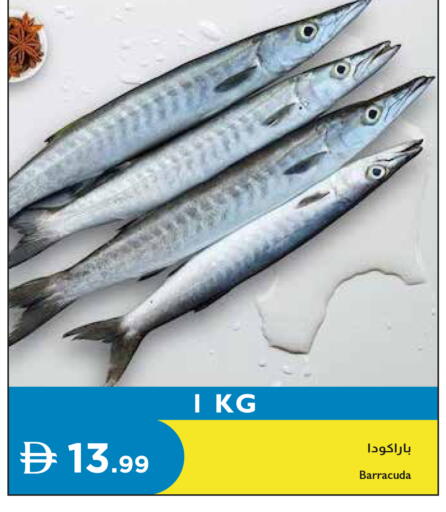 available at Istanbul Supermarket in UAE - Dubai