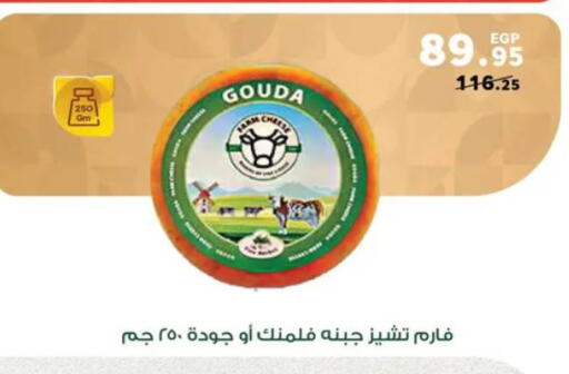 available at بنده in Egypt - القاهرة