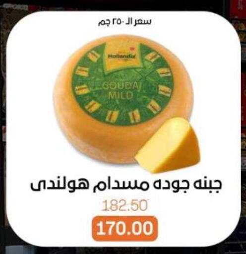 available at بيت الجملة in Egypt - القاهرة