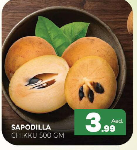 Sapodilla available at المدينة in الإمارات العربية المتحدة , الامارات - الشارقة / عجمان