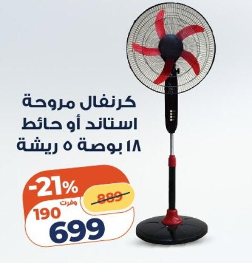 available at كازيون in Egypt - القاهرة