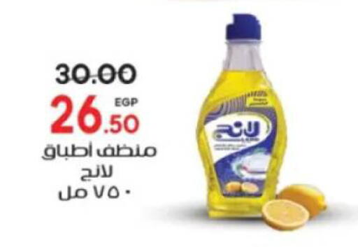 available at جلهوم ماركت in Egypt - القاهرة